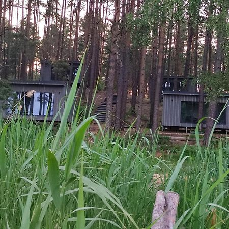 Gaujaclub - Our Bose And Bang&Olufsen Lofts On A Lake Гауя Экстерьер фото