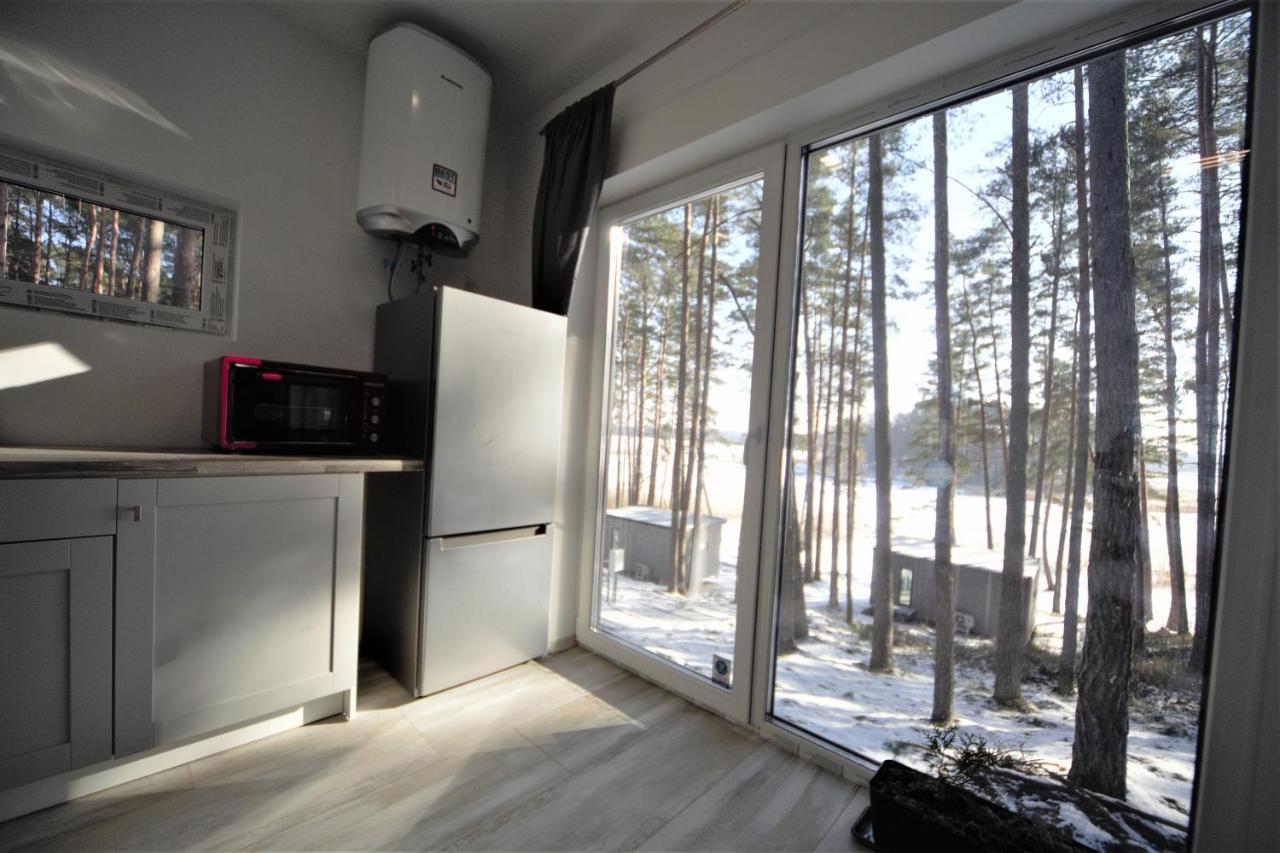 Gaujaclub - Our Bose And Bang&Olufsen Lofts On A Lake Гауя Экстерьер фото