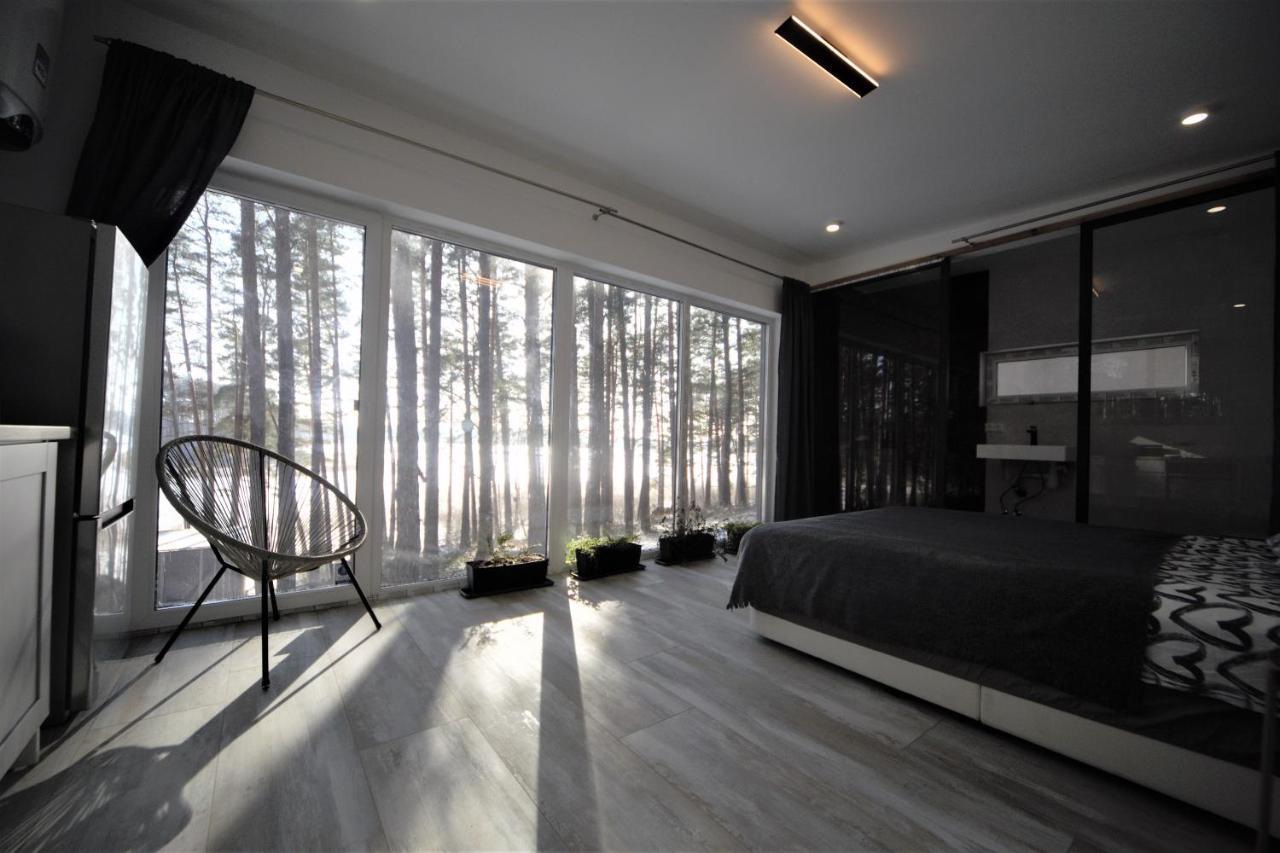 Gaujaclub - Our Bose And Bang&Olufsen Lofts On A Lake Гауя Экстерьер фото