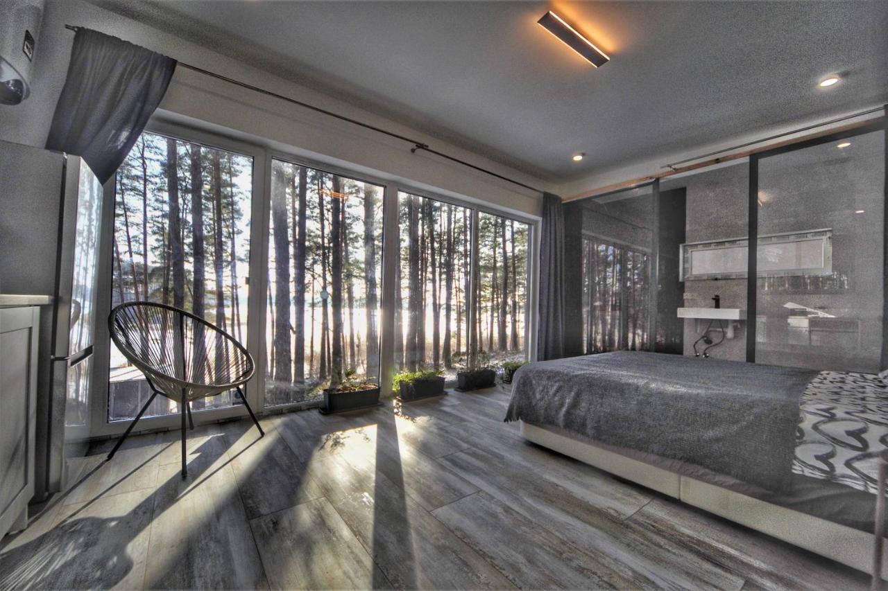 Gaujaclub - Our Bose And Bang&Olufsen Lofts On A Lake Гауя Экстерьер фото