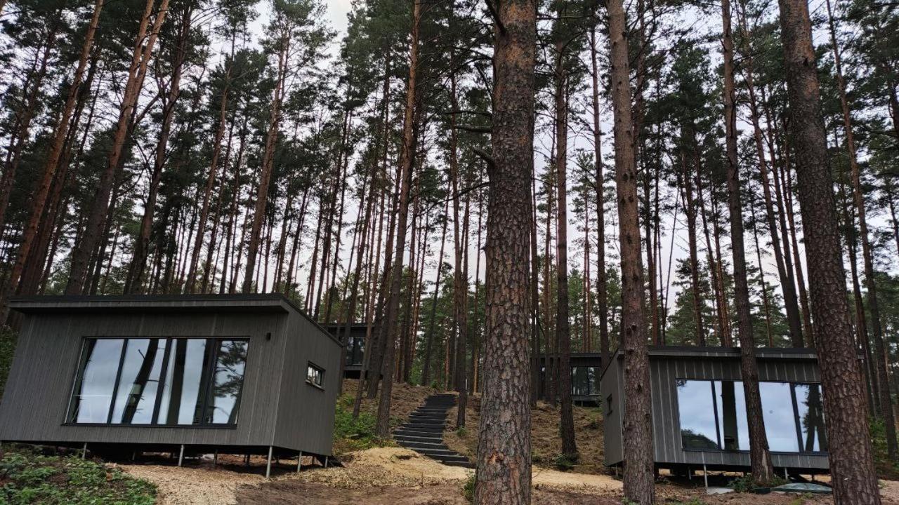 Gaujaclub - Our Bose And Bang&Olufsen Lofts On A Lake Гауя Экстерьер фото