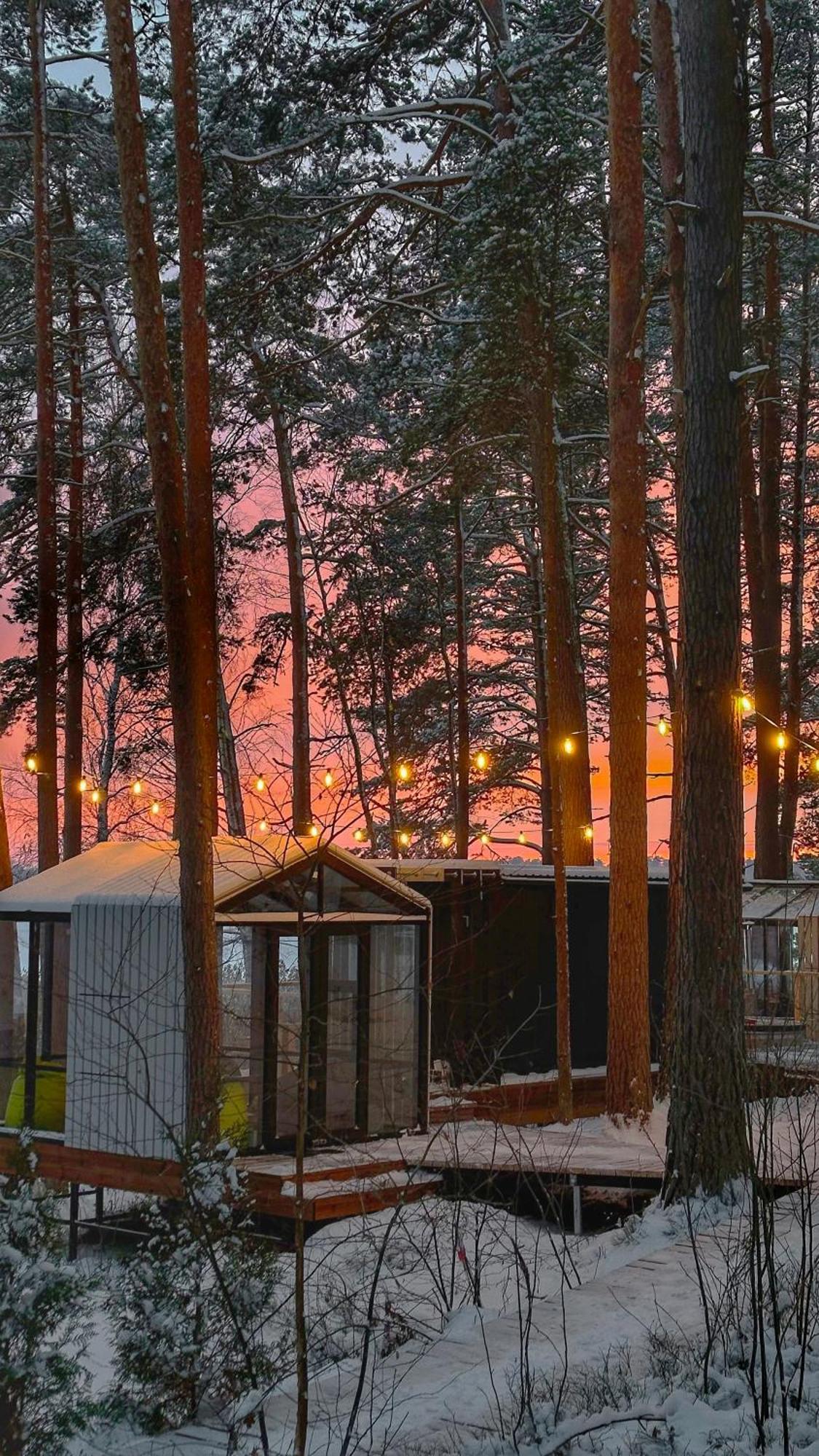 Gaujaclub - Our Bose And Bang&Olufsen Lofts On A Lake Гауя Экстерьер фото