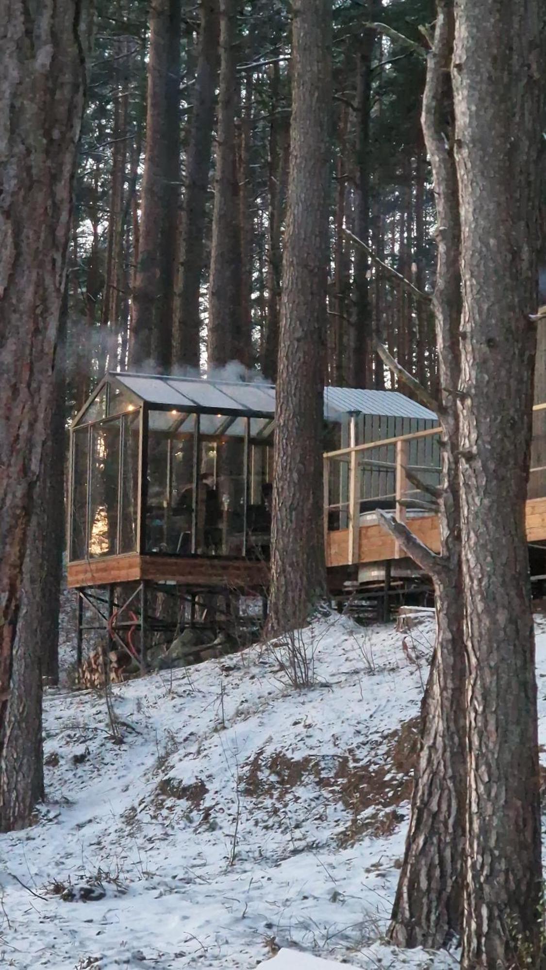 Gaujaclub - Our Bose And Bang&Olufsen Lofts On A Lake Гауя Экстерьер фото