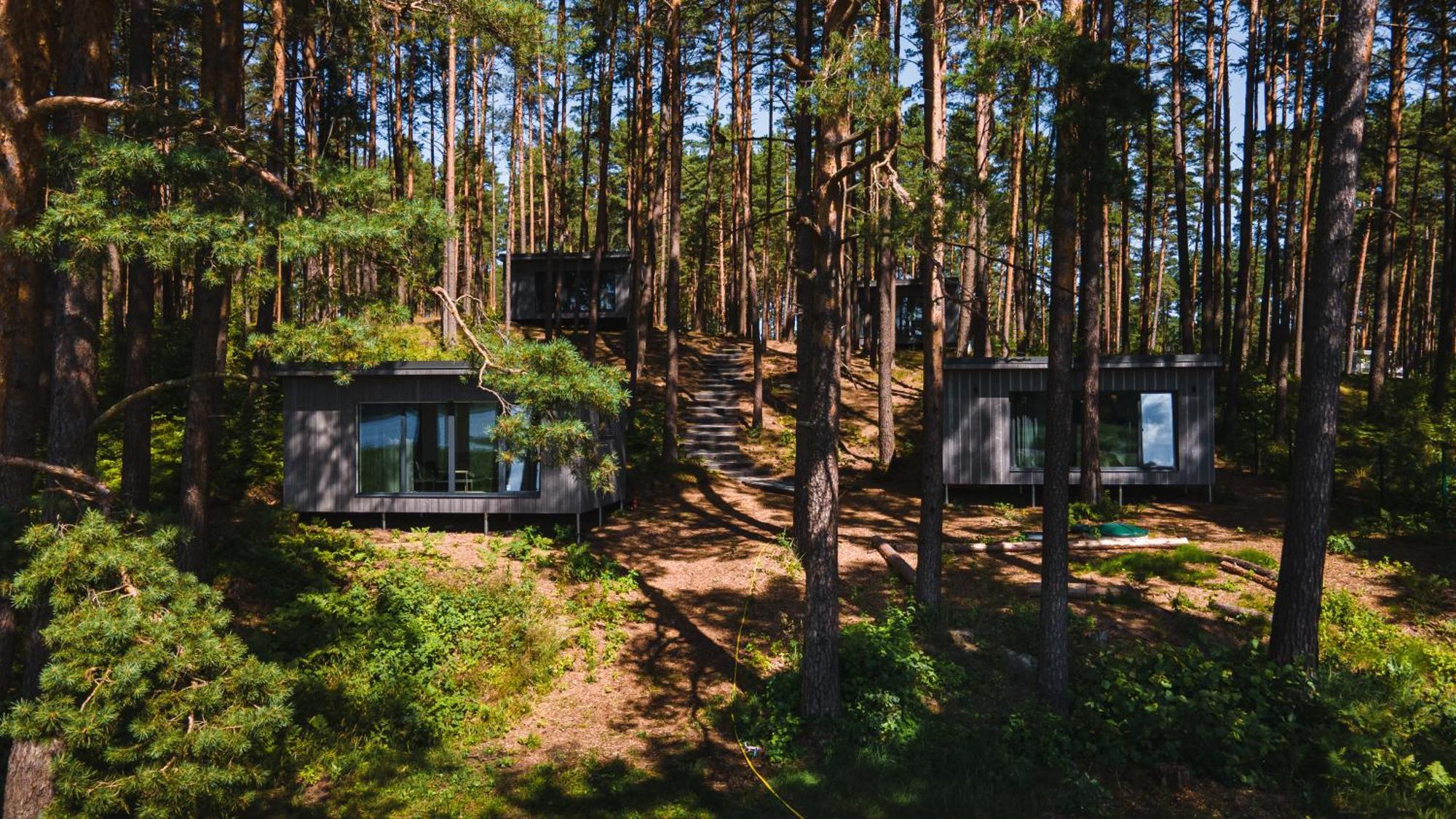 Gaujaclub - Our Bose And Bang&Olufsen Lofts On A Lake Гауя Экстерьер фото