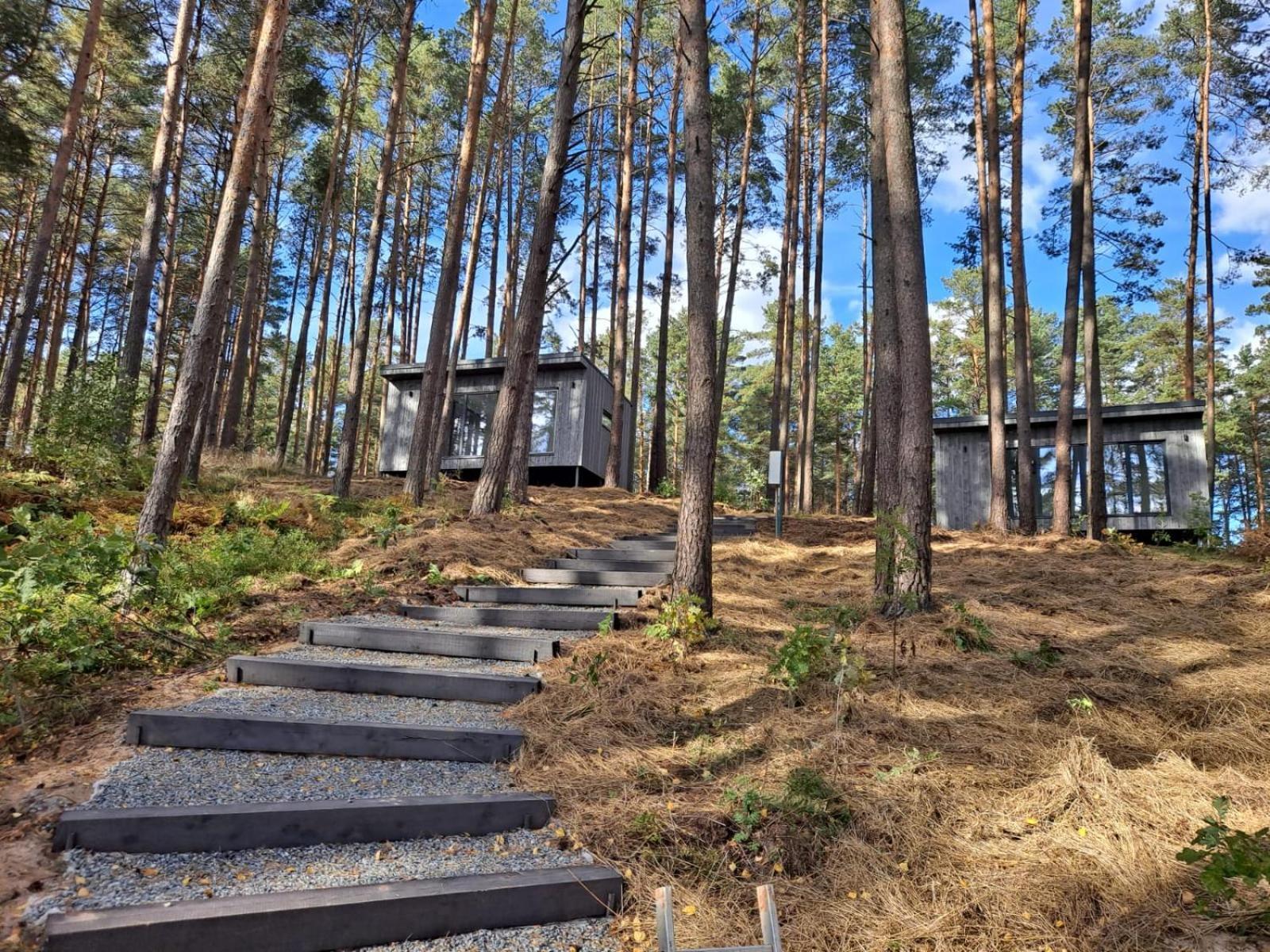 Gaujaclub - Our Bose And Bang&Olufsen Lofts On A Lake Гауя Экстерьер фото
