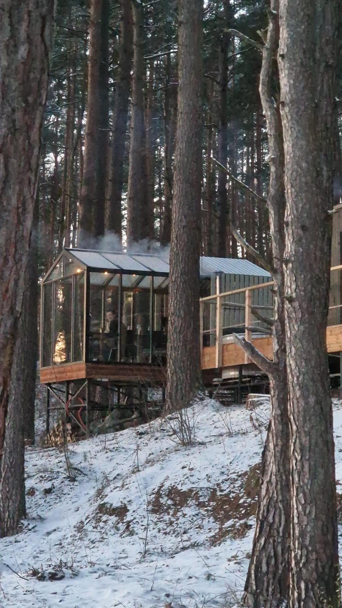 Gaujaclub - Our Bose And Bang&Olufsen Lofts On A Lake Гауя Экстерьер фото