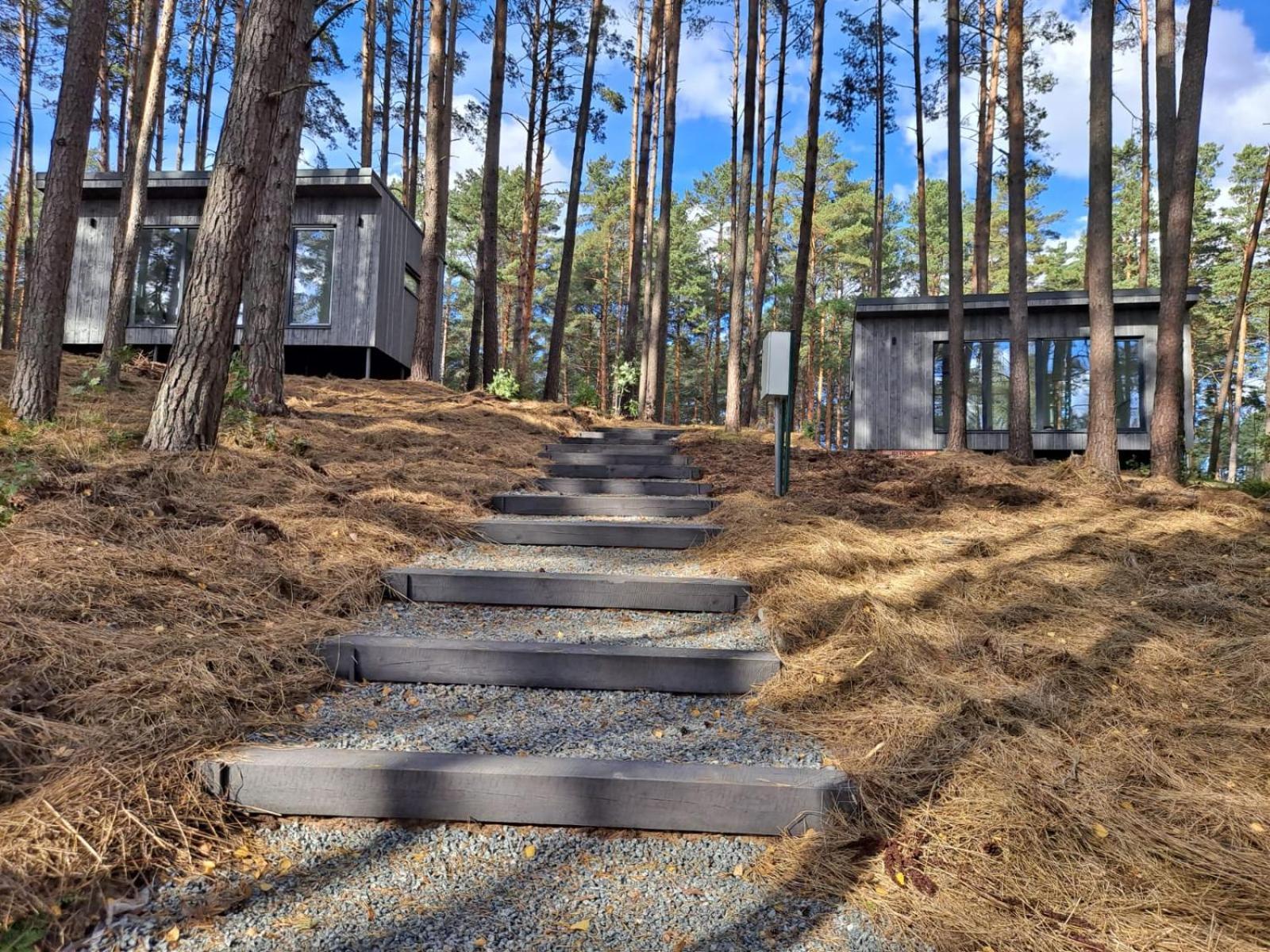 Gaujaclub - Our Bose And Bang&Olufsen Lofts On A Lake Гауя Номер фото